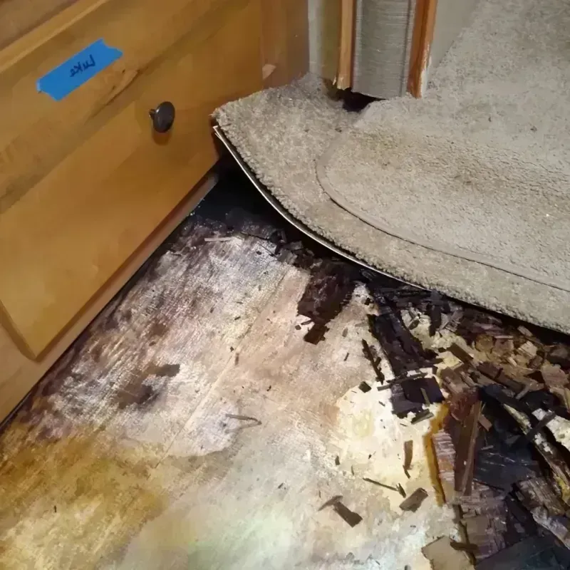 Wood Floor Water Damage in Hernando, MS